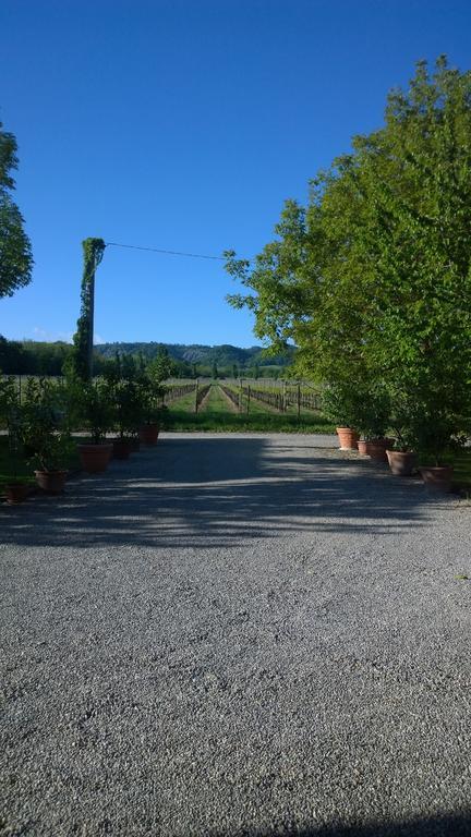 Villa La Vigna Dei Peri Quattro Castella Exterior foto